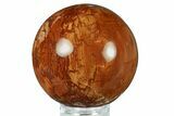 Colorful Petrified Wood (Araucaria) Sphere - Madagascar #286142-1